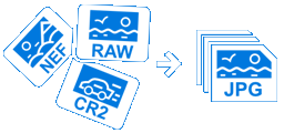 Camera raw image processing Camera raw image processing
