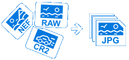 Camera raw image processing